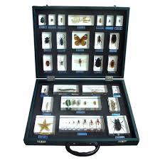 27-pc/box Mounted Specimen Set Manufacturers in India