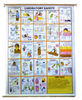 Polyart Charts - General Topics - HOW DISEASES ARE SPREAD (1482) Manufacturers in India