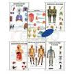Polyart Charts - ENDOCRINE SYSTEM (1247) Manufacturers in India