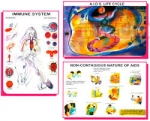 Polyart Charts - TYPES OF ANIMALS (PART II) FISH, AMPHIBIAN, REPTILES, BIRDS AND MAMMALS FOODS AND THEIR USES PART-1 (1191) Manufacturers in India
